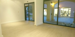 pie ce principale vitrine moyen 